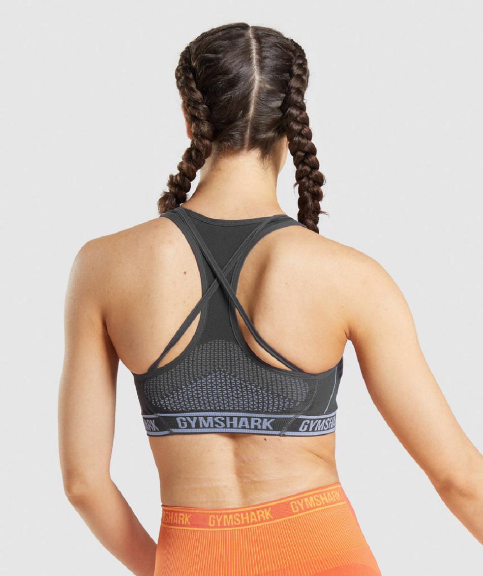 Gymshark Apex Seamless Ženske Sportski Grudnjak Crne Sive Boje Lavande Plave | HR 3318VRW